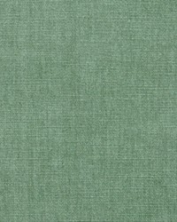 Command Performance Chenille Sage by  RM Coco 