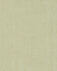 Command Performance Chenille Parchment by  RM Coco 