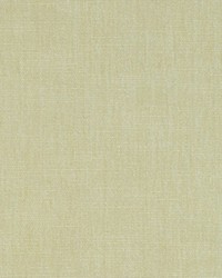 Command Performance Chenille Candlelight by  RM Coco 