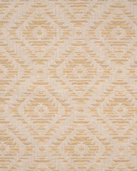 Chichen Itza Ginger Root by   