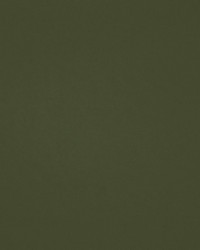 Chaparral Performance Fr Faux-leather Basil by   