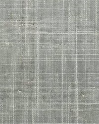 Stargazer Fr Blackout Silver Sage by   