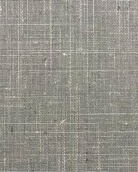 Stargazer Fr Blackout Thunder by   