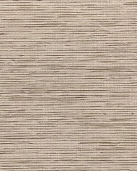 Zenith Fr Blackout Latte by   