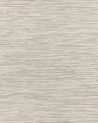 Zenith Fr Blackout French Vanilla by   