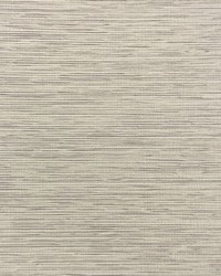 Zenith Fr Blackout Froth by   