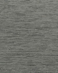 Zenith Fr Blackout Pewter by   