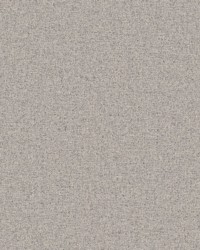 Quasar Fr Blackout Shadow by   