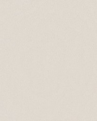 Quasar Fr Blackout Froth by   