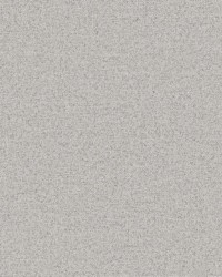 Quasar Fr Blackout Platinum by   