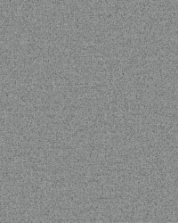 Quasar Fr Blackout Thunder by   