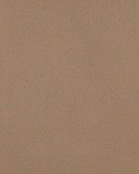 Sundown Wide-width Fr Dimmer Mushroom by   