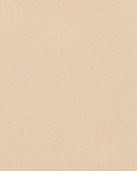 Sundown Wide-width Fr Dimmer Froth by   