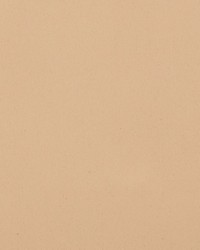 Sundown Wide-width Fr Dimmer Honey by   