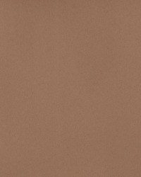 Sundown Wide-width Fr Dimmer Brass Ring by   