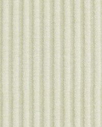 Ridgley Performance Stripe Eggshell by   