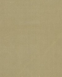 Soleil Performance Velvet Sand Dune by  RM Coco 