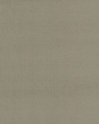 Soleil Performance Velvet Driftwood by  RM Coco 