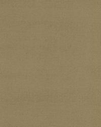 Soleil Performance Velvet Outrigger by  RM Coco 