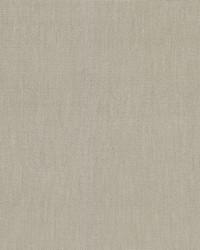 Soleil Performance Velvet Thatch by  RM Coco 