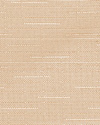 Endurance Fr Texture Conch by  RM Coco 