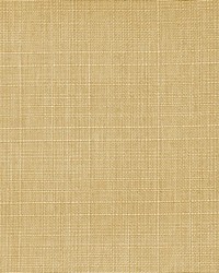 Resolute Fr Texture Eggnog by  RM Coco 