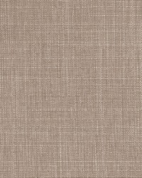 Resolute Fr Texture Cafe Au Lait by  RM Coco 