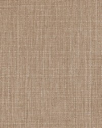 Resolute Fr Texture Birch by  RM Coco 