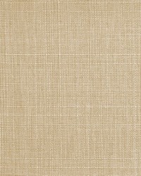 Resolute Fr Texture Sandstone by  RM Coco 