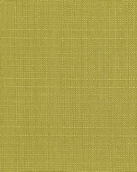 Resolute Fr Texture Kiwi by  RM Coco 