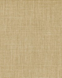 Resolute Fr Texture Macadamia by  RM Coco 