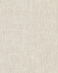 Bimini Sand Dollar by   