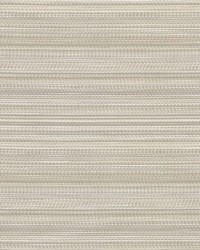 Cyprus Puka Shell by   