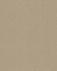 Madeira Travertine by  RM Coco 