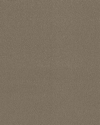 Madeira Sandstone by  RM Coco 