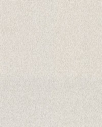 Madeira Sand Dollar by  RM Coco 