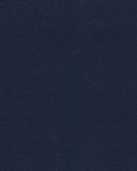 Madeira Admiral by  RM Coco 