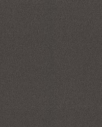 Madeira Shale by  RM Coco 