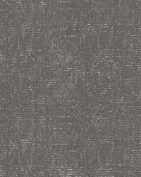 Polynesia Dolphin by  RM Coco 