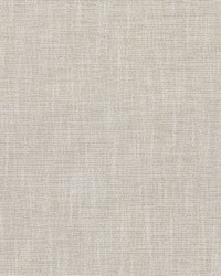 Capri Puka Shell by  RM Coco 