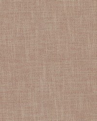 Capri Conch by  RM Coco 