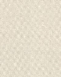 Dominica Sand Dollar by  RM Coco 