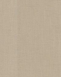 Dominica Macadamia by  RM Coco 