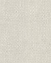 Dominica Puka Shell by  RM Coco 