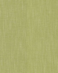 Dominica Kiwi by  RM Coco 