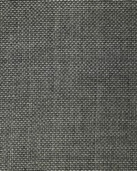 Sunglow Performance Sheer Pewter by   