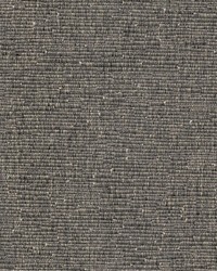 Haven Black Walnut by   