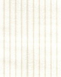 Thumper Cotton Tail by   