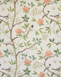 Songbird Spring Song by   