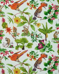 Paradiso Isle Fruit Punch by   